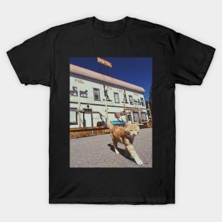 A cat pet animal walking on the street near hotel Yahk BC T-Shirt